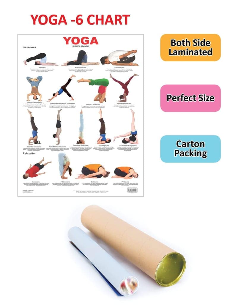 Yoga Chart - 6 Wall Chart - Both Side Hard Laminated (Size 48 x 73 cm) [Poster] Dreamland Publications view 2