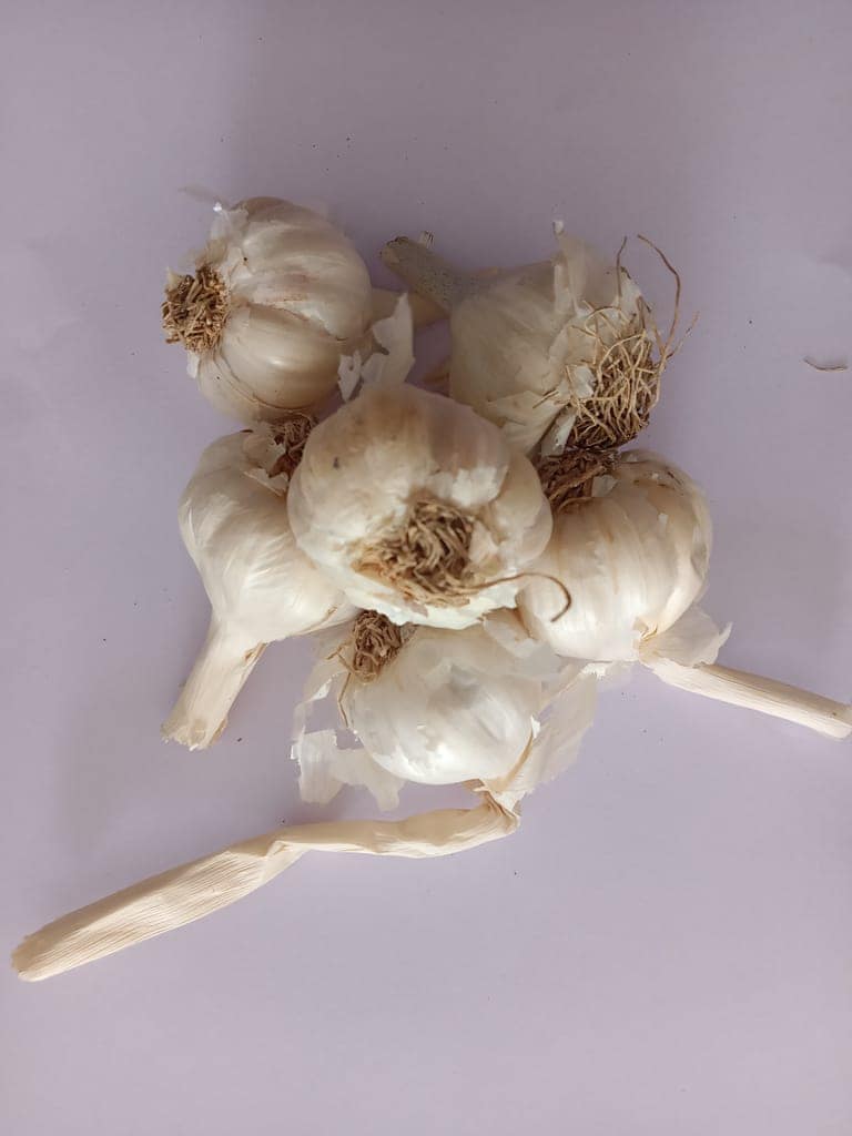 Garlic 200 gm (pack of 2) view 2