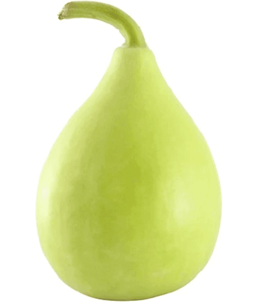 Bottle gourd round pack of 15seeds view 2