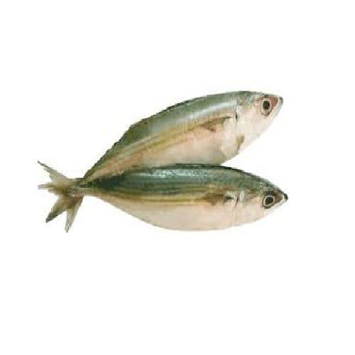 Aila Fish / Bangada / Mackerel 1 Kg