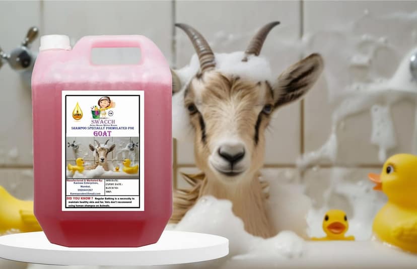 Swacch Shampoo Specially Formulated for Goat (5 Litre) Strawberry view 2