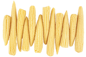 Baby Corn 1 pack (200 - 250 gms)