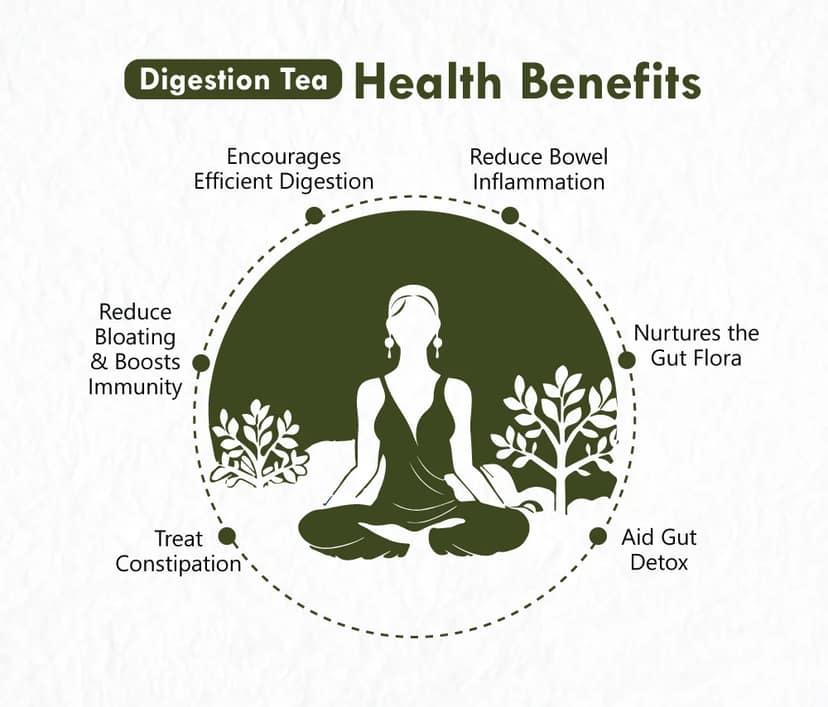 Freshville Digestion Tea | Pure & Natural | Prevent Heartburns | Immunity Booster | Tea for Weight Loss | Ginger, Fennel, Ajwain, Mint, Senna leaves, Rose petals, Bay leaves, Green tea Tin (5 view 2