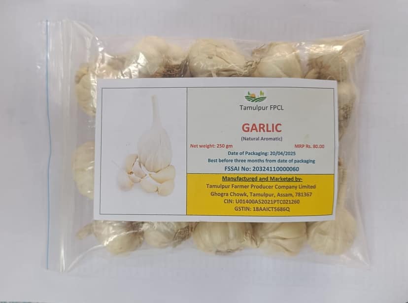 Garlic view 2
