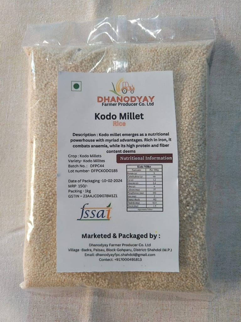 Kodo Millets view 2