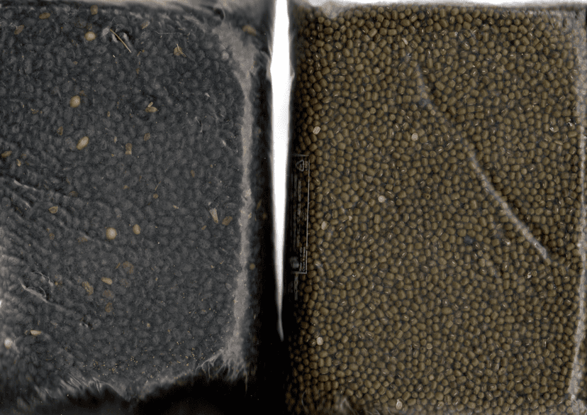 Pack Of 2:Bhatt & Green Moong Dal 1KG.Each view 2