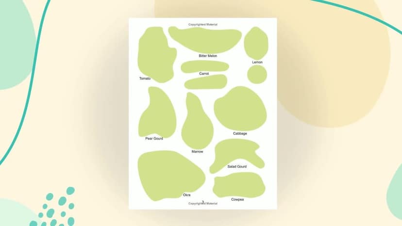 Play with Sticker - Vegetables [Paperback] Dreamland Publications view 2