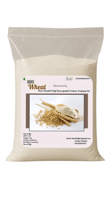 Wheat Flour
