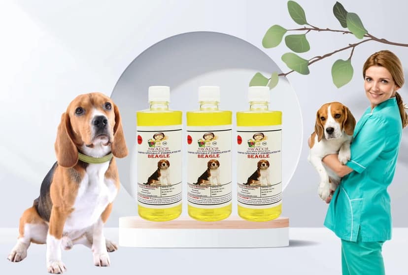 Swacch Shampoo Specially Formulated for Beagle (500ml) (Combo Pack of 3) Lemon view 2