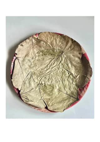 Chota katori