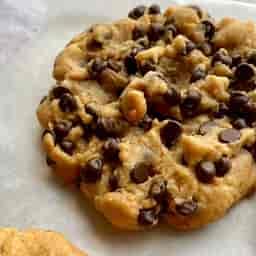 Dark Chocolate Chip