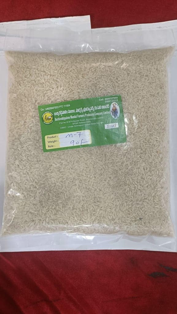 Rice (V-M-7) view 2