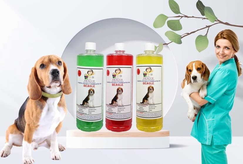 SWACCH Shampoo Specially FORMULATED for Beagle (1 Litre) (Combo Pack of 3) Jasmine,NEEM ALOVERA,Lemon view 2