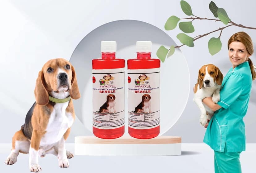 Swacch Shampoo Specially Formulated for Beagle (500ml) (Combo Pack of 2) Jasmine view 2