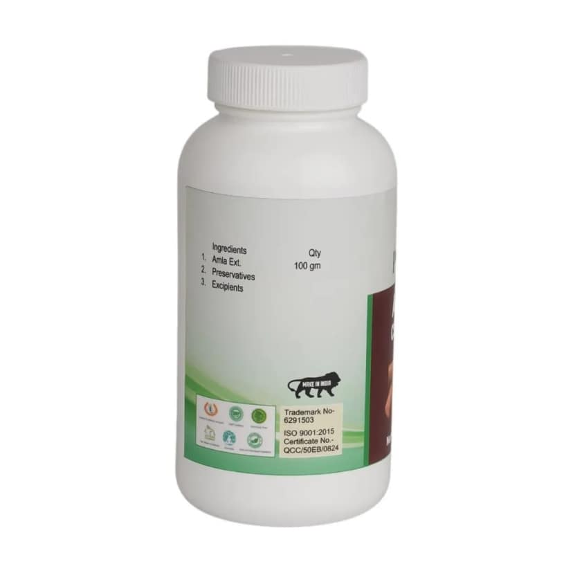 Paartha Ayurveda Amla Churan for Immunity and Detox view 2