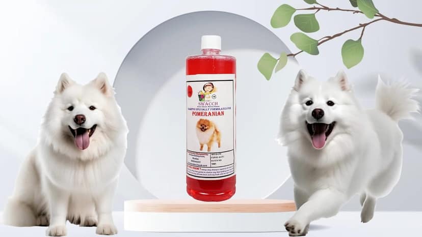 Swacch Shampoo Specially Formulated for Pomeranian (1 Litre) Strawberry