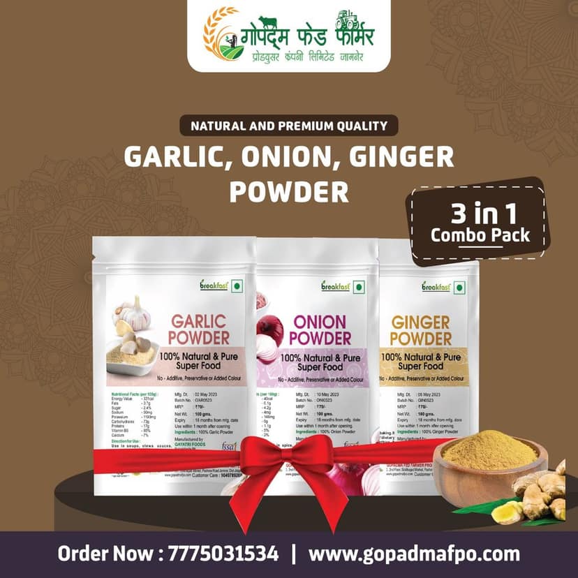 3 IN 1 COMBO PACK Masala/Seasoning view 2