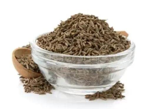 Cumin view 2