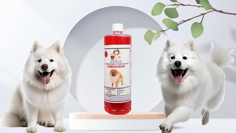 Swacch Shampoo Specially Formulated for Pomeranian (1 Litre) Jasmine
