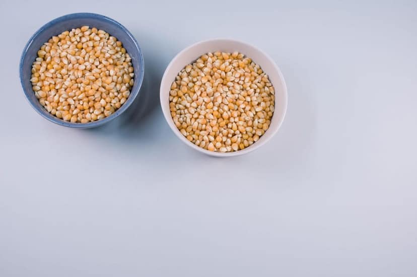 Gramasampathi FPC Premium Maize Kernels – 1 Kg view 2