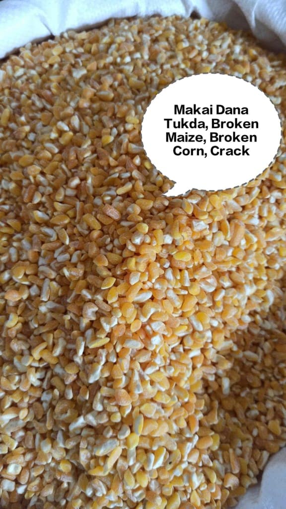 Makai Dana Tukda, Broken Maize, Broken Corn, Cracked Maize, Kibbled Maize view 2