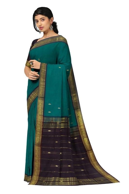 APCO Handloom (A Andhra Pradesh Govt Emporium)- Women's Traditional Pure Handloom Bandar (Polavaram) Cotton Saree | BCS0060 view 2
