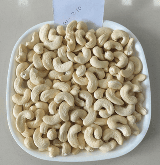Satvikk Cashew W210 Benin Selected 500g