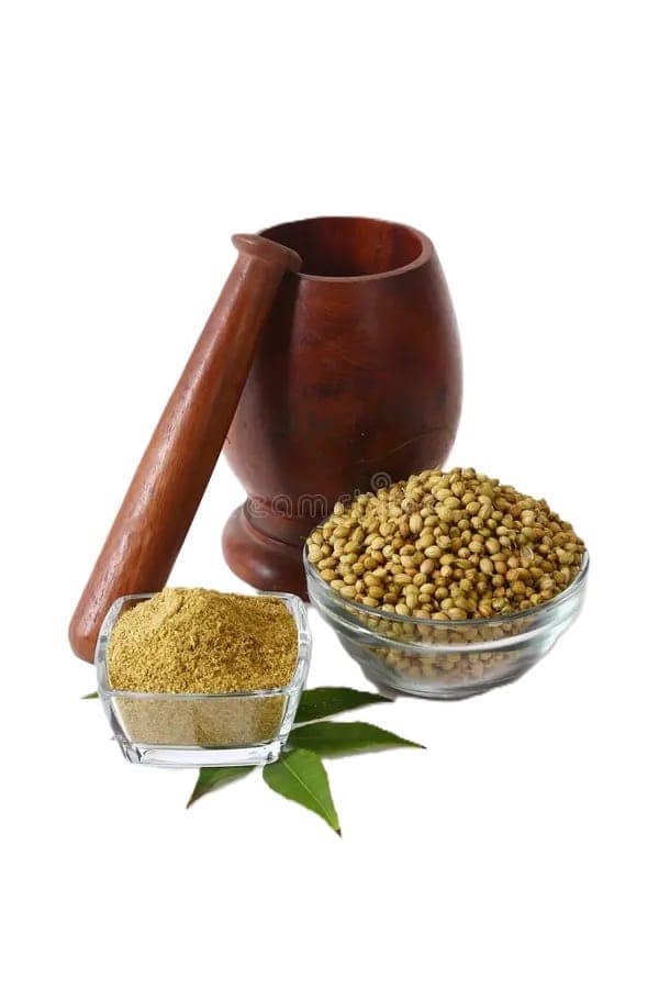 Organature Fresh Indian Masala Coriander Powder | Dhania Powder - Pack of (500 Grams) view 2