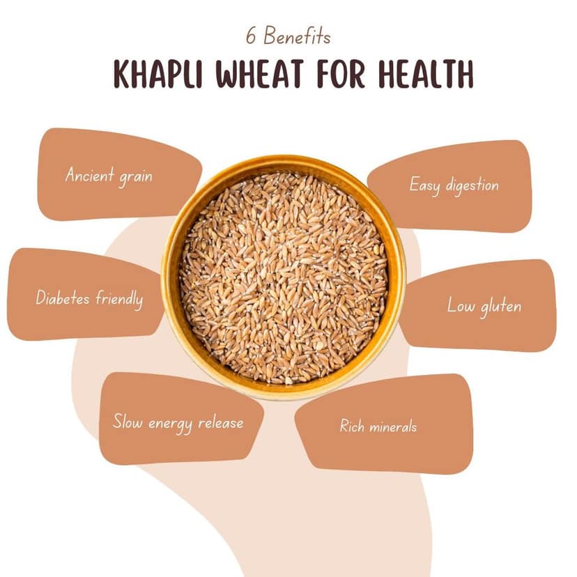 VFPL | Premium Khapli (1 kg) (Wheat (Emmer Wheat) – Ancient Whole Grain, High Fiber & Low Gluten – Ideal for Chapati, Bread & Healthy Cooking view 2