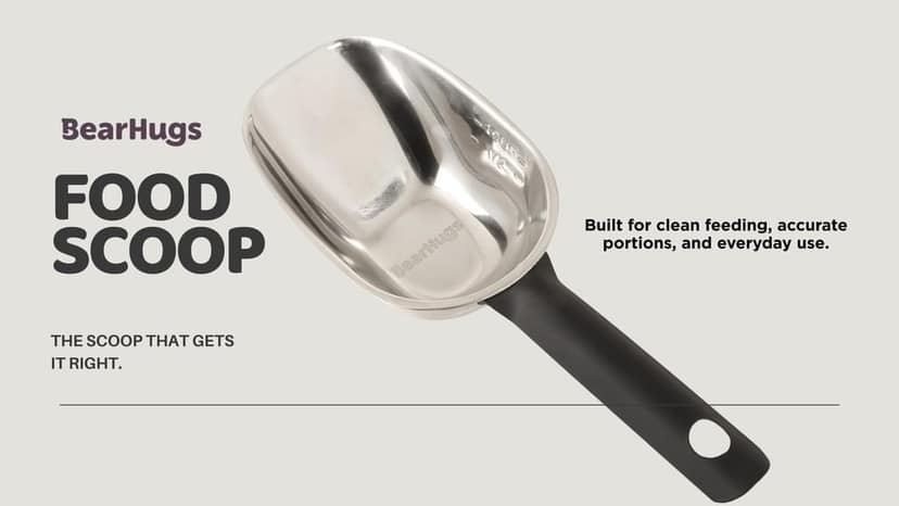 BearHugs Stainless Steel Food Scoop, Durable & Safe for Dogs/Cats view 2