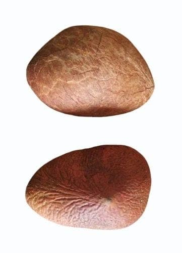 Dry Coconut, Copra, Sukha Nariyal, Khopra, Desiccated Coconut 300gm 2piec view 2