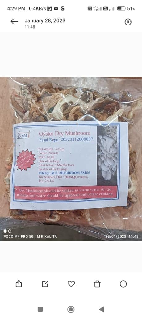 Dry Mushroom view 2