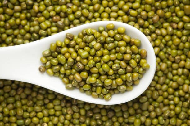 uk green gram view 2