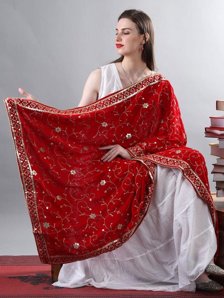 Red Zari Embroidered Bail With Sequinned Flowers and Multicolour Thread Kite On Velvet Dupatta From Amritsar view 2