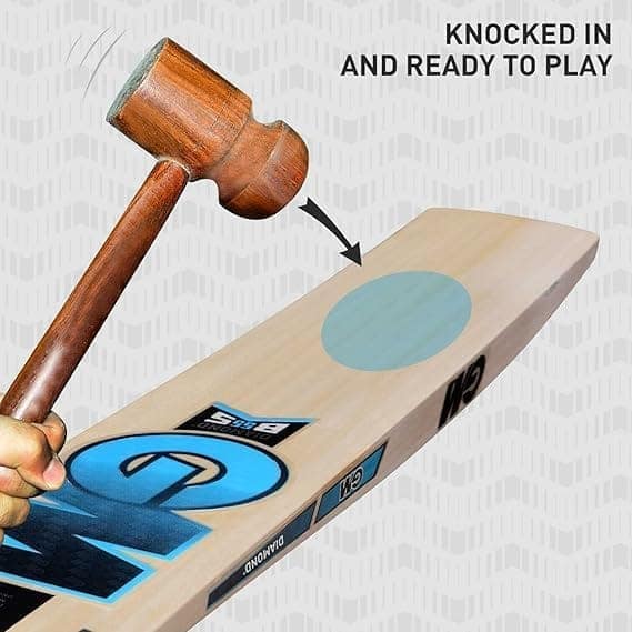 TEKNAXO | G.M Diamond Blue English Willow Full Size Short Handle Cricket Bat view 2