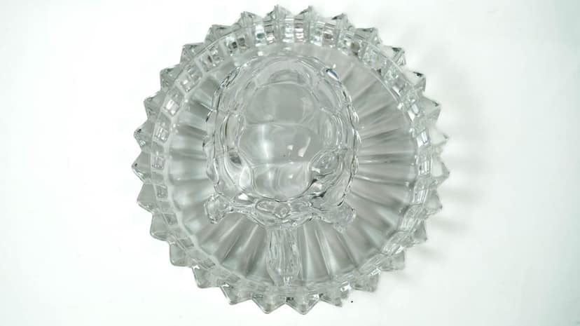 Glass Tortoise With Plate Shopise view 2