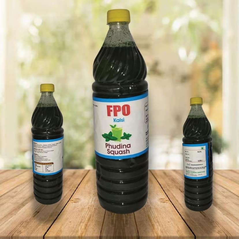 FPO Kalsi Phudina Squash - Refreshing Mint Drink Concentrate view 2