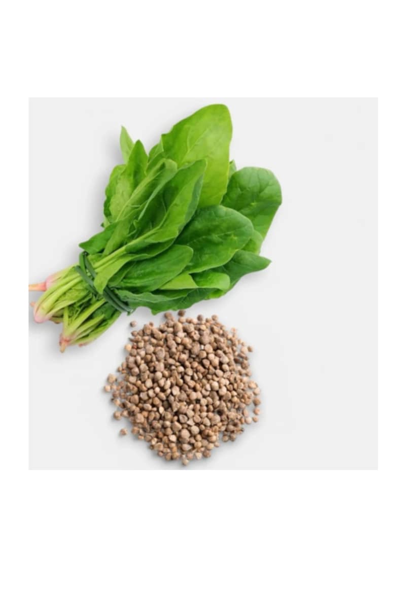 spinach view 2