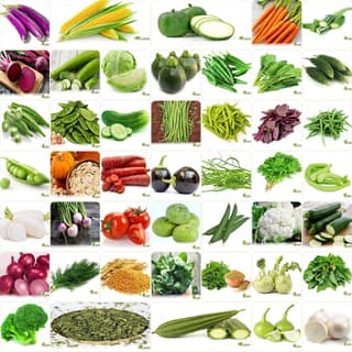 VRISA GREEN India's No.1 Vegetable Seeds, Winter, Summer, Home Garden, Seeds Bank, Organic 45 Seeds Combo