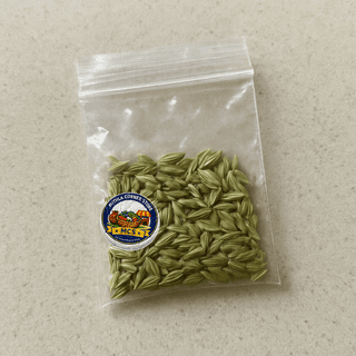 Mithla Corner Store's saunf (fennel seeds)