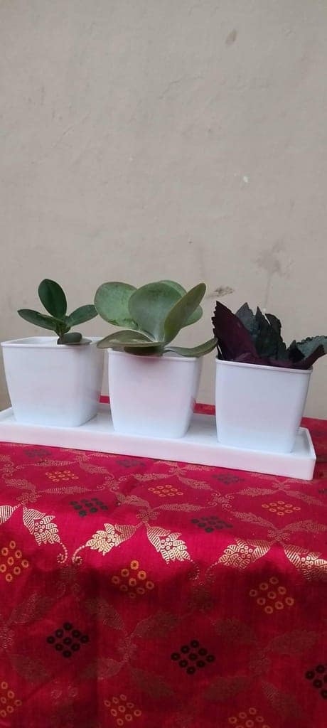 sonchiraiya desk duro pots set of 3 view 2