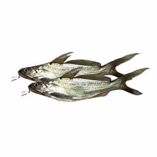Tengra Dried Fish (Small Sized Catfish)