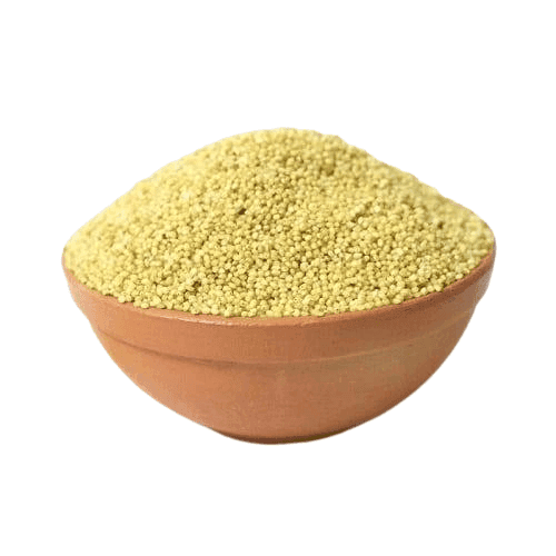 FOXTAIL MILET view 2