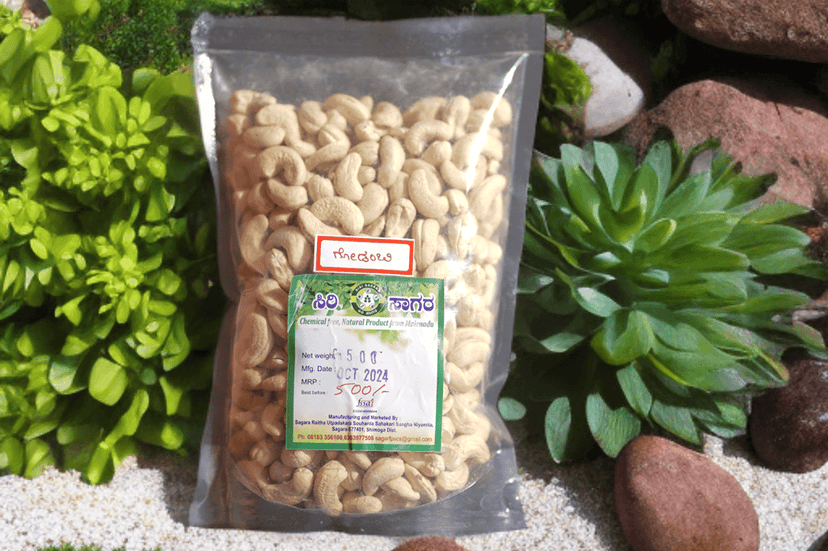 Cashew Nut