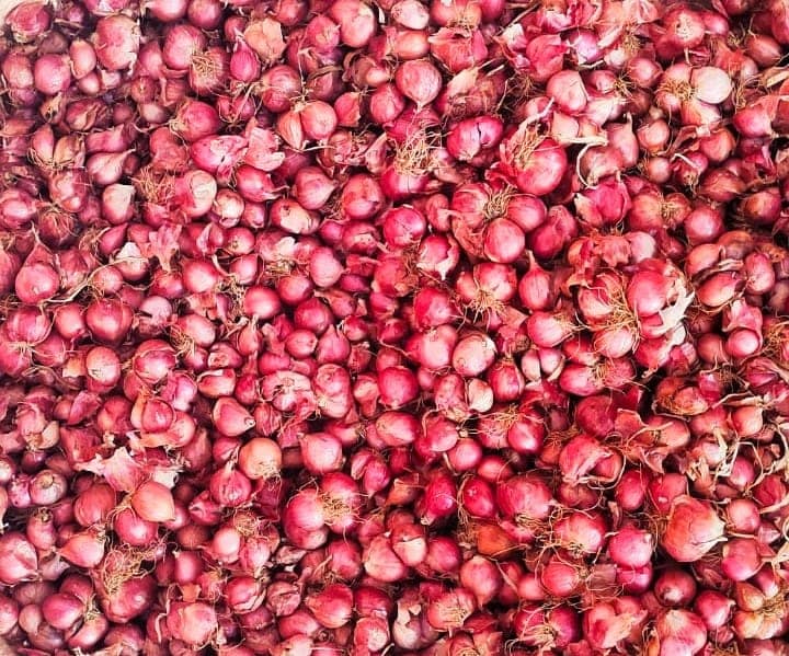Small Onion view 2