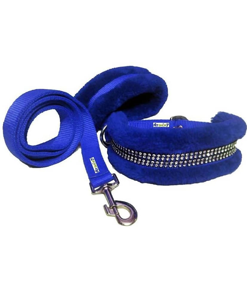 Petshop7 Nylon Blue Medium Dog Collar & Leash with Fur 1 Inch