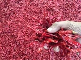 Mungacharla FPCL Red Chilli Dried| 3 Kg view 2