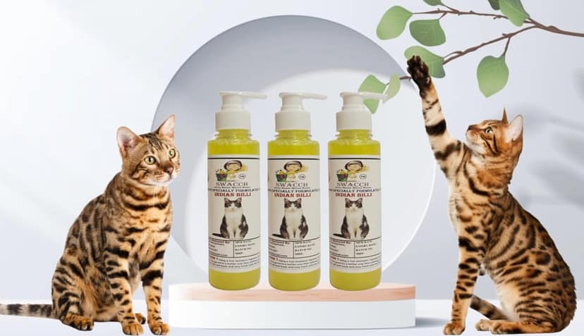SWACCH Premium Shampoo for Indian Billi (200ML) (Pack of 3) Lemon