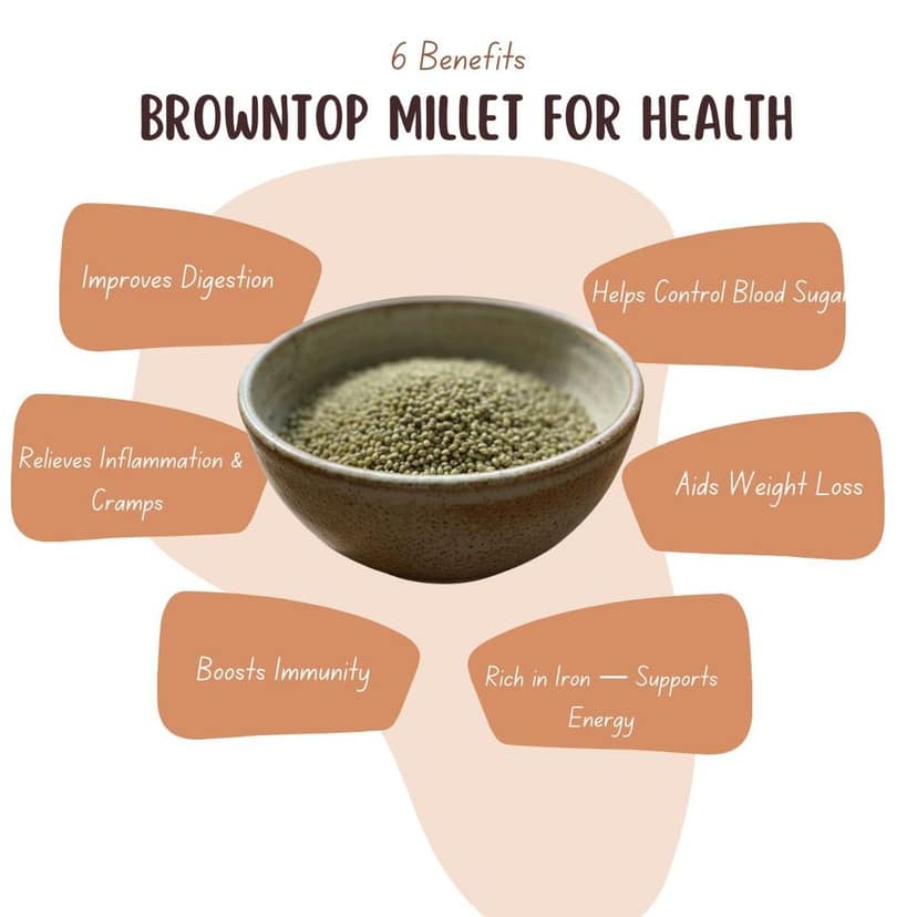 VFPL | Premium Browntop Millet (500 gm) | 100% Natural & Unpolished | Gluten-Free, High Fiber & Protein-Rich Superfood | Ideal for Healthy Meals view 2