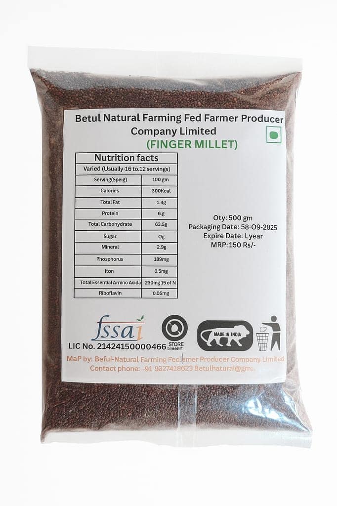 Finger Millet view 2